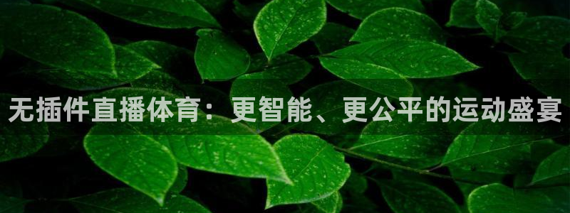 无插件直播体育：更智能、更公平的运动盛宴