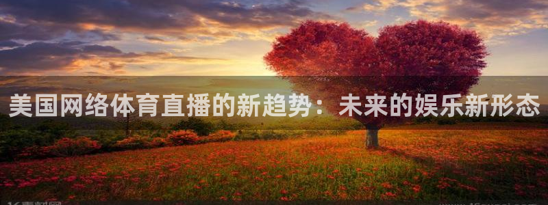 美国网络体育直播的新趋势：未来的娱乐新形态