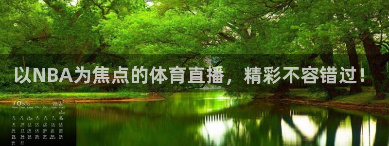 以NBA为焦点的体育直播，精彩不容错过！