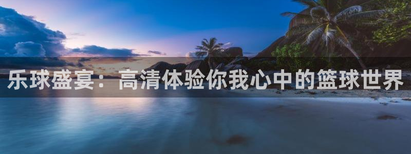 乐球盛宴：高清体验你我心中的篮球世界